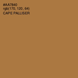 #AA7840 - Cape Palliser Color Image